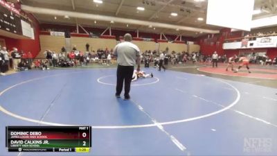 192 lbs Semifinal - David Calkins Jr., Liberty High School vs Dominic DeBo, James Logan High School