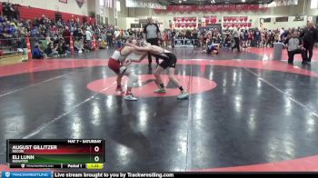 90 lbs Champ. Round 2 - August Gillitzer, ROCORI vs Eli Lunn, BigWater