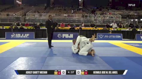 Hermilo Jose M. Del Angel vs Ashley Garett Meehan 2025 Pan Jiu Jitsu IBJJF Championship