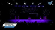 APEX Dance Center - Tiny Small Jazz [2024 Tiny - Dance Day 2] 2024 One Up Grand Nationals