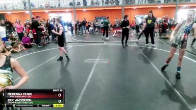 95 lbs Semifinal - McKenna Penix, Cobra Wrestling Club vs Eric Anderson, Swamp Rabbit Wrestling