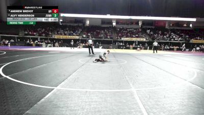 149 lbs Consi Of 8 #1 - Andrew Brevot, Rensselaer Polytechnic Institute vs Alvy Henderson, Jamestown