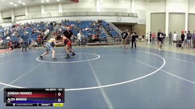 102 lbs Champ. Round 1 - Adrian Mendez, IL vs Alex Briggs, OH