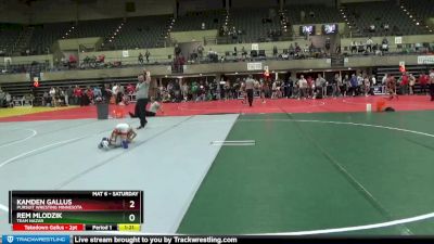 65 lbs Round 5 - Kamden Gallus, Pursuit Wresting Minnesota vs Rem Mlodzik, Team Nazar