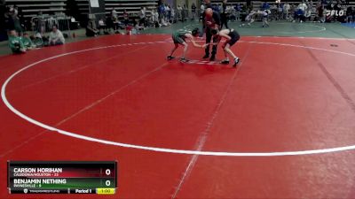 84 lbs Placement (4 Team) - Benjamin Nething, Paynesville vs Carson Horihan, Caledonia/Houston