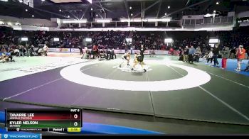 132 lbs Cons. Round 6 - Kyler Nelson, Skyview vs Tavarre Lee, Lincoln (Tacoma)