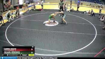 85 lbs Round 5 (6 Team) - Carrig Hogan, Carolina Reapers vs Michael Sprovack, Summerville Takedown Club