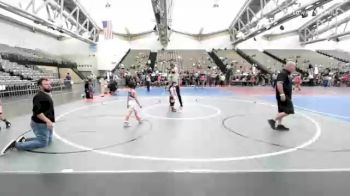 51 lbs Quarterfinal - Noah Hein, Hawthorne vs Michael Levine, --Other--