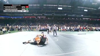 D1-165 lbs Cons. Round 2 - Nathan Murphy, Clinton Township Chippewa Valley vs Ibrahim Dakroub, Dearborn