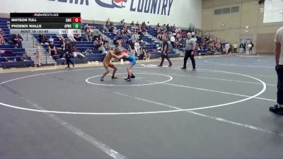 81-89 lbs Round 4 - Phoenix Walls, All- Phase Wrestling Club vs Mayson Tull, Cornerstone Mat Club