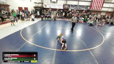 43 lbs Quarterfinal - Logan Radmall, Timpanogos vs Kaleb Brown, Spanish Fork