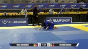 Ian Frank Schwaier vs Ron S. Lutostanski II 2026 Pan Jiu Jitsu IBJJF Championship