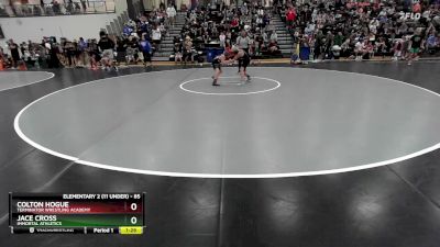 85 lbs Quarterfinal - Jace Cross, Immortal Athletics vs Colton Hogue, Terminator Wrestling Academy