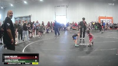 50 lbs Cons. Round 2 - Gamble Evans, Spartanburg Wrestling Academy vs Hank Nelson, Red Devil Wrestling Club