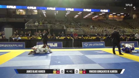 Vinicius Gonçalves De Almeida vs James Blake Hansen 2025 Pan Jiu Jitsu IBJJF Championship