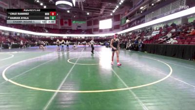 132 lbs Champ. Round 1 - Damian Ayala, Kuna vs Cruz Ramirez, Meridian