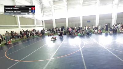 56 lbs Quarterfinal - Brock Abbott, Sanderson Wrestling Academy vs Camden Balliett, Roy Wrestling Club
