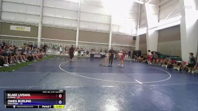 190 lbs Placement Matches (8 Team) - Blake Livdahl, Illinois vs Owen Burling, Wisconsin