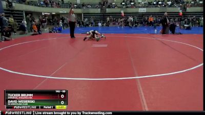 85 lbs Round 2 - David Wesierski, ISI WRESTLING CLUB vs Tucker Brumm, Immortal Athletics WC