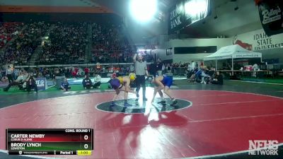 5A 113 lbs Cons. Round 1 - Brody Lynch, Lewiston vs Carter Newby, Coeur D Alene