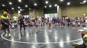 45 lbs Round 5 (6 Team) - Finn Dennis, Florida Scorpions vs Tenley Howarth, NC National Team White