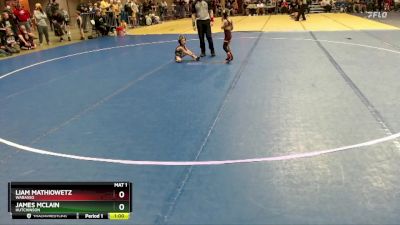 40 lbs Semifinal - James McLain, Hutchinson vs Liam Mathiowetz, Wabasso