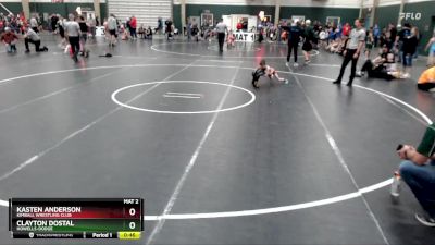 46 lbs Cons. Semi - Kasten Anderson, Kimball Wrestling Club vs Clayton Dostal, Howells-Dodge