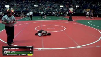 71 lbs Quarterfinal - Gabriel Lewis, PAW3 vs Tripp Farrington, WKS1