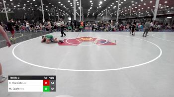 154 lbs Rr Rnd 3 - Chase Harnish, LAW vs Michael Craft, Revival Irish