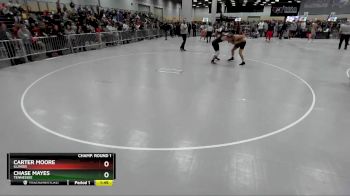 165 lbs Champ. Round 1 - Chase Mayes, Tennessee vs Carter Moore, Illinois