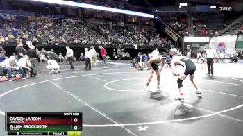 175 Class 2 lbs Semifinal - Cayden Larson, Chillicothe vs Elijah Brocksmith, Fulton