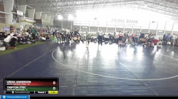 119 lbs Round 2 (4 Team) - Tripton Stec, Western Nebraska vs Uriah Anderson, South Central Utah