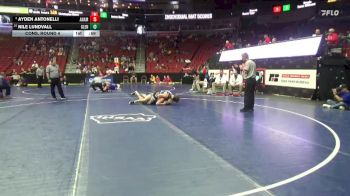2A-175 lbs Cons. Round 4 - Ayden Antonelli, Anamosa vs Nile Lundvall, Glenwood