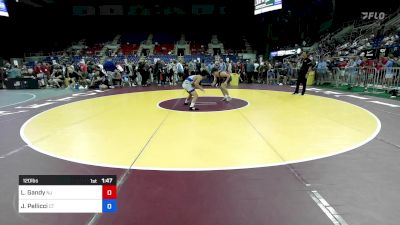 120 lbs Rnd Of 128 - Lucas Gandy, NJ vs Joseph Pellicci, CT