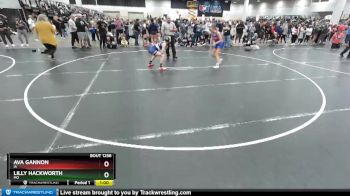 106 lbs Cons. Round 2 - Ava Gannon, IA vs Lilly Hackworth, MO