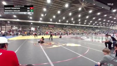 120 lbs Cons. Round 1 - Brayson A Muller, Sheridan Wrestling Club vs Harvey Thompson, Cobbler Kids Wrestling