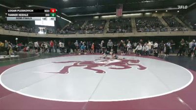 82 lbs Semifinal - Tanner Keehle, Binghamton vs Logan Pleskovich, McDonald