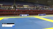 William Charles Gerhauser vs Joel Stier 2024 Pan IBJJF Jiu-Jitsu No-Gi Championship
