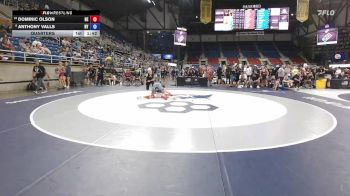 120 lbs Quarters - Dominic Olson, NE vs Anthony Valls, NY