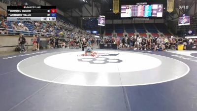 120 lbs Quarters - Dominic Olson, NE vs Anthony Valls, NY