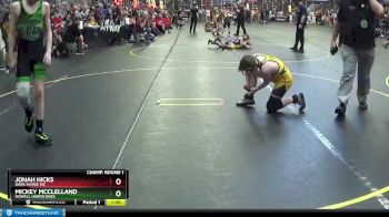 100 lbs Champ. Round 1 - Mickey McClelland, Howell Hurricanes vs Jonah Hicks, Dark Horse WC