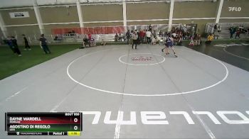 165 lbs Cons. Round 4 - Agostino Di Regolo, Lehi vs Dayne Wardell, Morgan