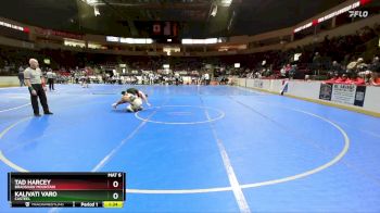 132 lbs Champ. Round 1 - Tad Harcey, Bradshaw Mountain vs Kalivati Varo, Casteel
