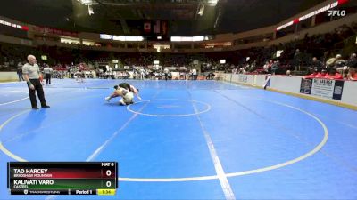 132 lbs Champ. Round 1 - Tad Harcey, Bradshaw Mountain vs Kalivati Varo, Casteel