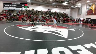 110 lbs Semifinal - Serenity Newton, Greeley West vs Shaelynn Rozell, Castle View