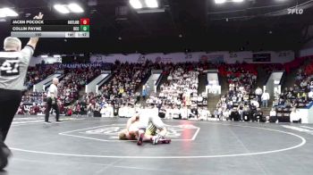 190 lbs Finals (8 Team) - Collin Payne, Detroit Catholic Central vs Jacen Pocock, Hartland