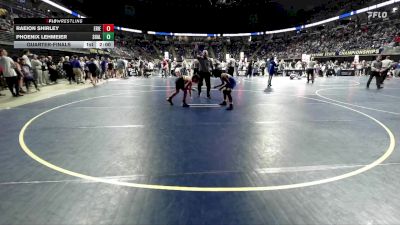 95 lbs Quarterfinal - Raeion Shirley, Erie vs Phoenix Lehmeier, Shaler