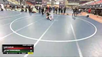 138 lbs Champ. Round 2 - Liam Gatlin, TX vs Jacob Dannenberg, WI