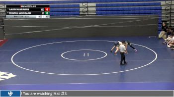 133 lbs Champ. Round 1 - Gavin Hanrahan, Wisconsin Eu Claire vs Triston Woodard, Greensboro College