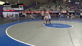 184 lbs Semis (4 Team) - Cole Martin, Central vs Desmond McLaughlin, Castleton